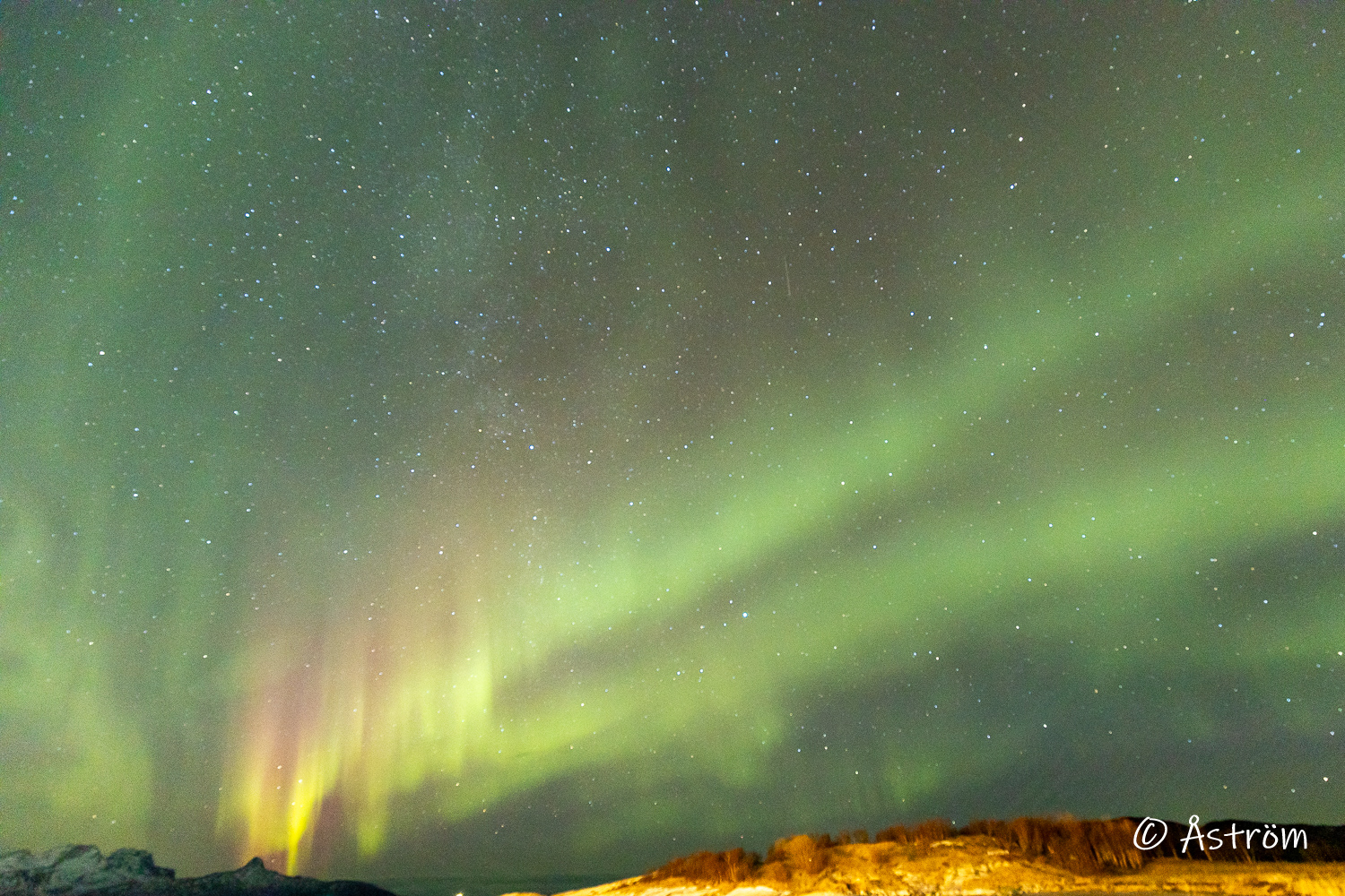 Länk till bilder från vår resa till Bodø i januari 2025.