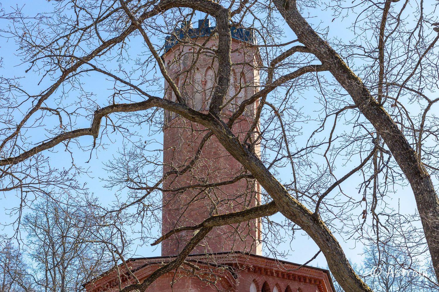 Länk till bilder från promenad i Frövi första dagarna i april 2025.