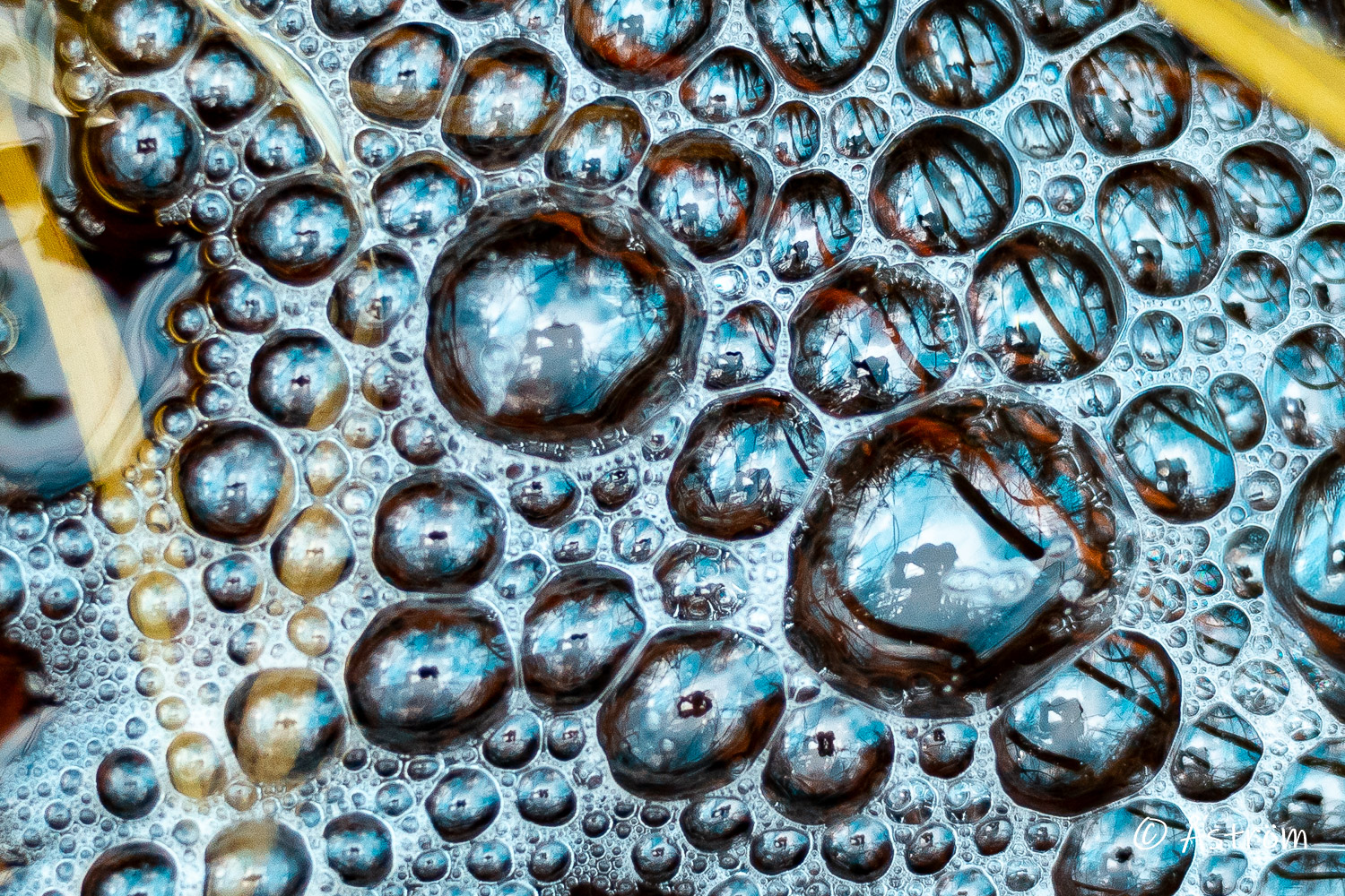 Länk till bilder från promenad i Frövi 20 december 2025.