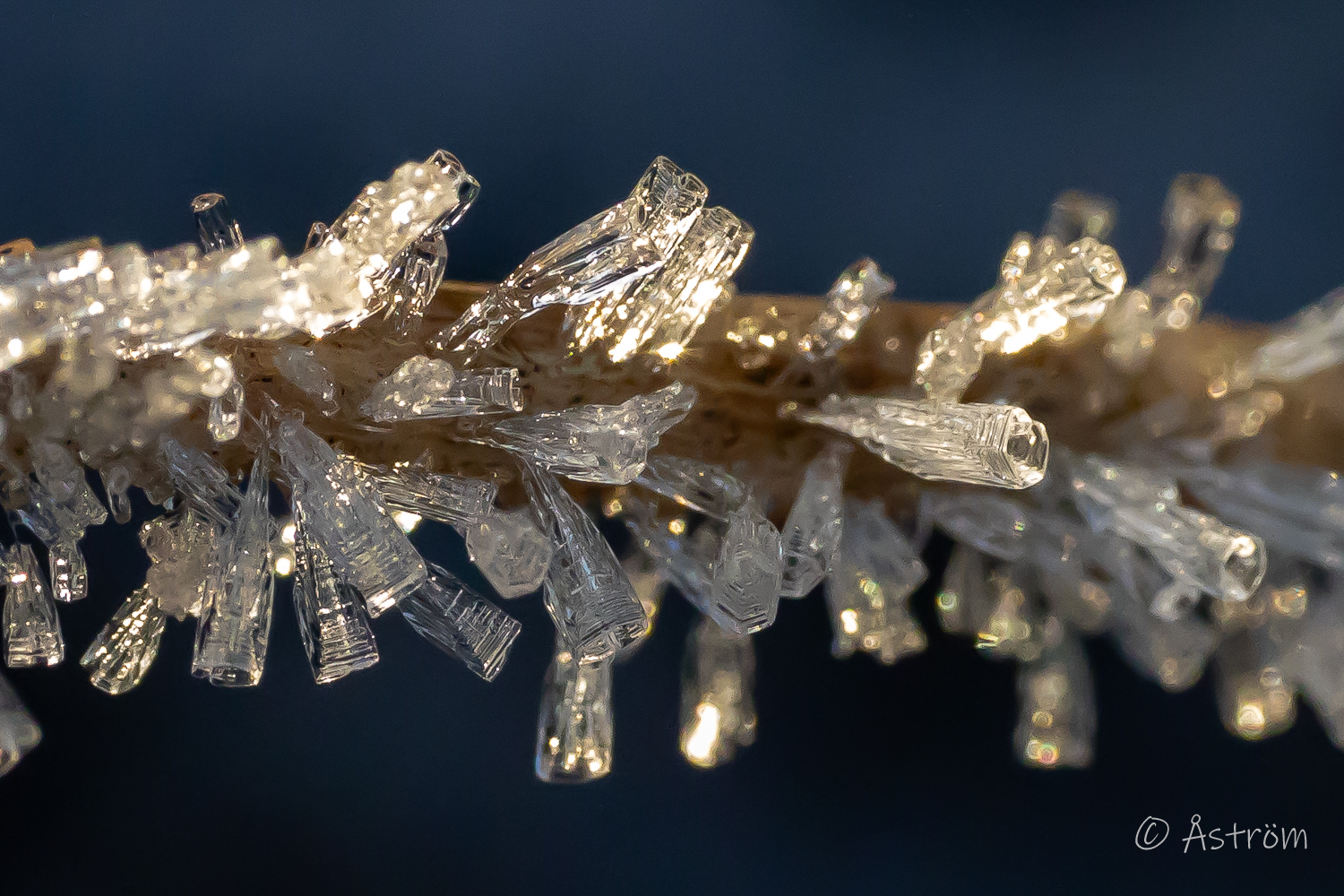 Länk till bilder från promenad i Frövi 22-24 december 2025.