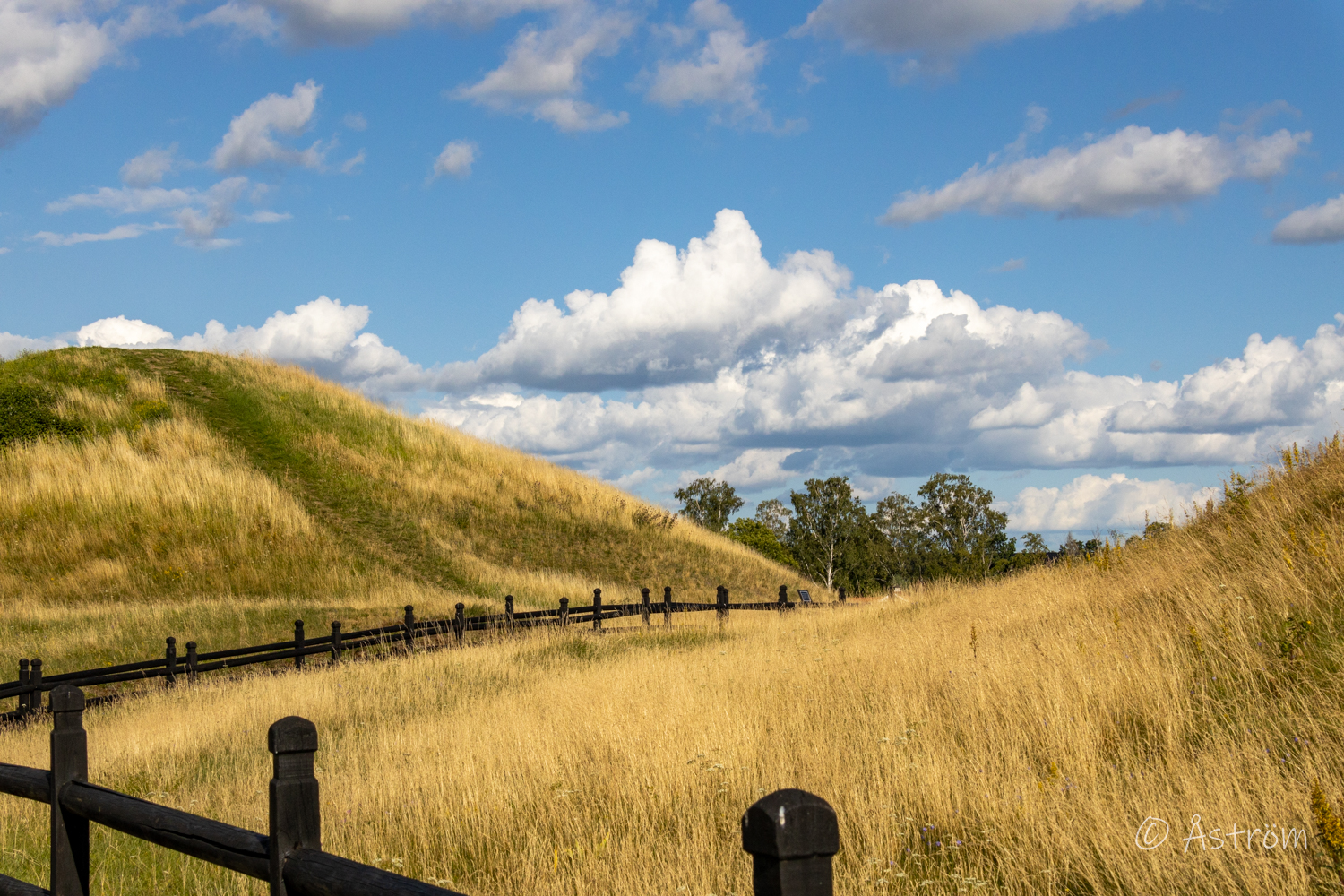 Länk till sida med bilder från Uppsala 23-24 juli 2023.